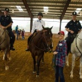 Equestrian Highlight-10