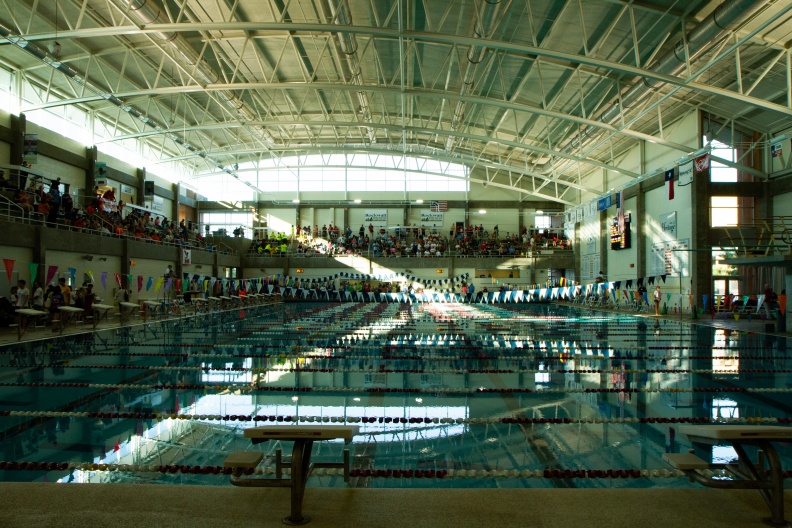 Swimming 08.jpg