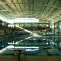 Swimming 08