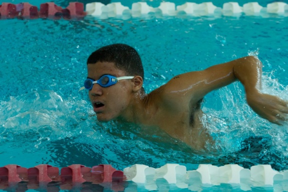 Swimming 40